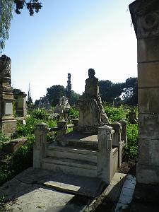 CIMETIERE DE TAMAZOUHET D ORAN EN MARS 2012  (77)